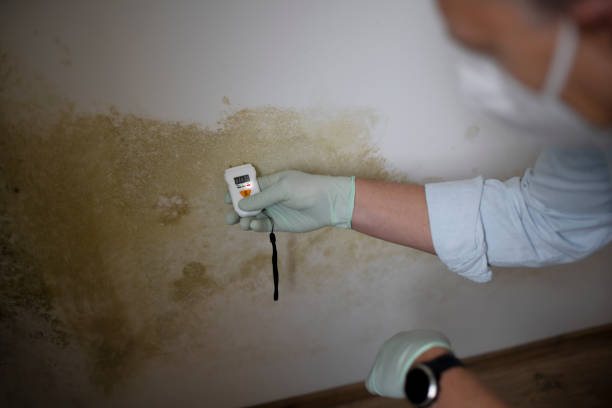 Best HVAC Mold Remediation in Keuka Park, NY